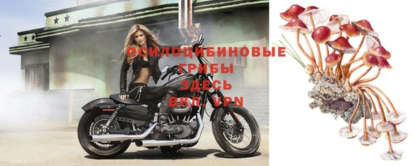 кристаллы Гусь-Хрустальный