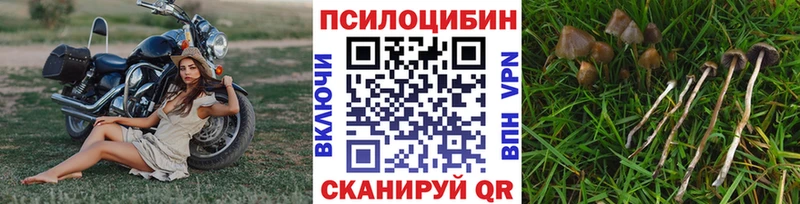Купить где  Бахчисарай  Галлюциногенные грибы мухоморы 